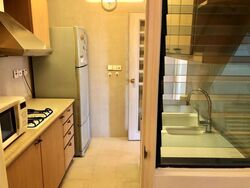 Nineteen Shelford Road (D11), Condominium #534194591